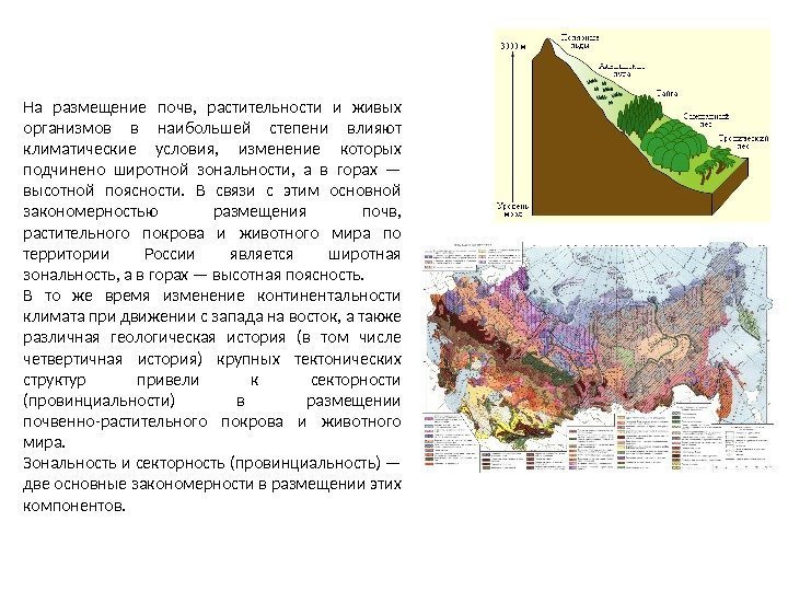 На размещение почв,  растительности и живых организмов в наибольшей степени влияют климатические условия,