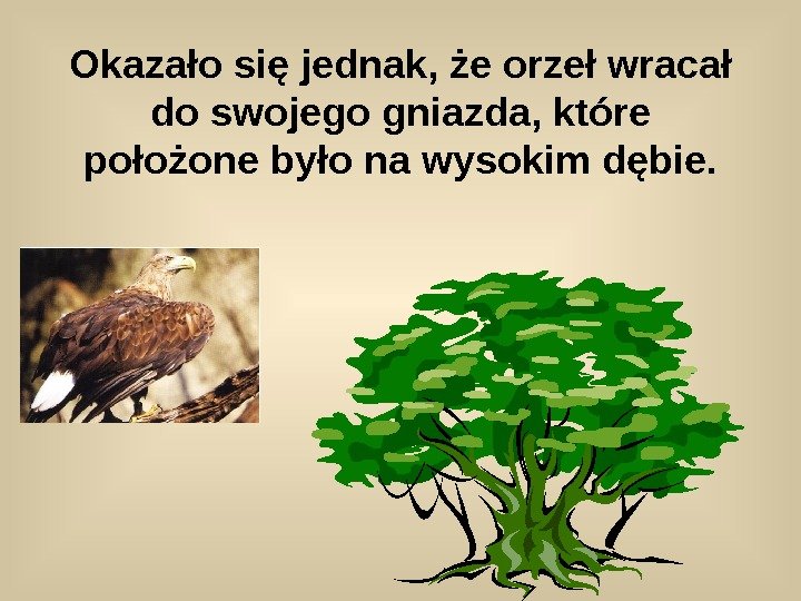   Okazało się jednak, że orzeł wracał do swojego gniazda, które położone było