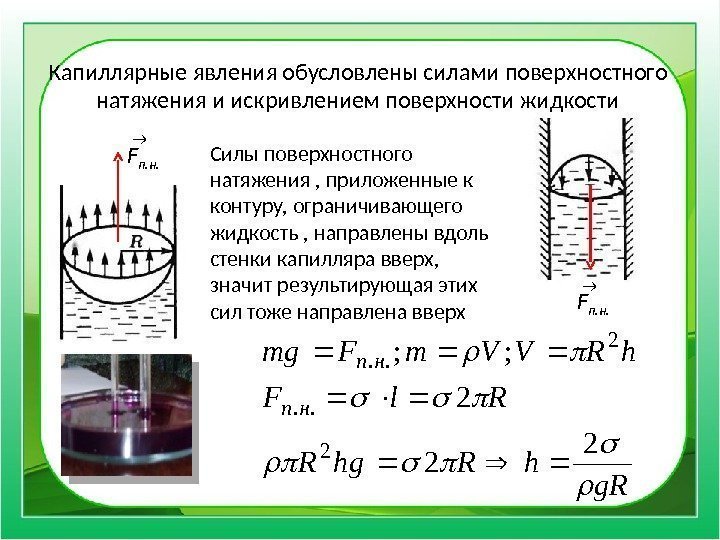 Капиллярные явления обусловлены силами поверхностного натяжения и искривлением поверхности жидкости Силы поверхностного натяжения ,