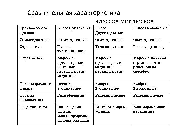    Сравнительная характеристика       классов моллюсков. Сравниваемый