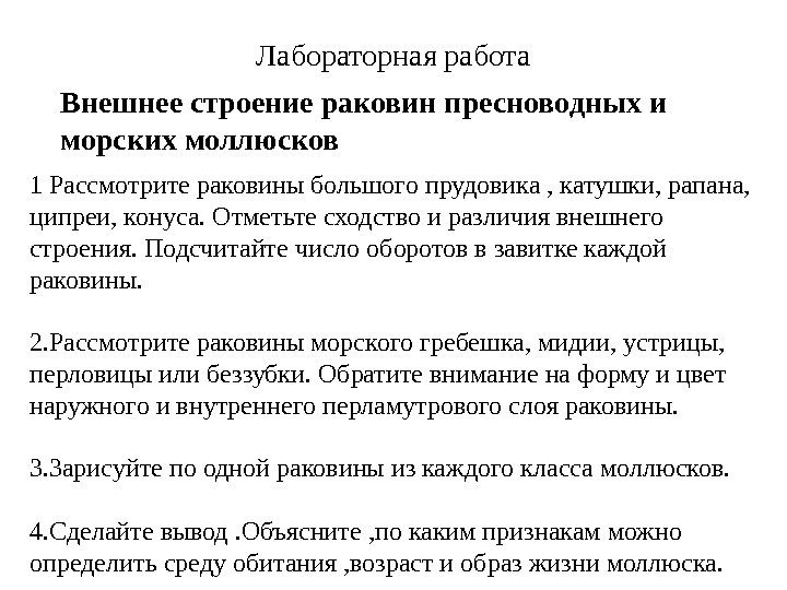 Лабораторная работа Внешнее строение раковин пресноводных и морских моллюсков 1 Рассмотрите раковины большого прудовика