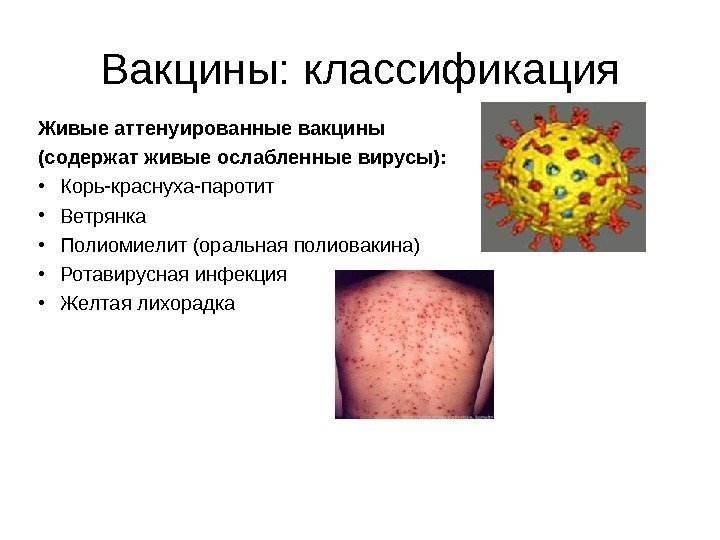   Вакцины :  классификация Живые аттенуированные вакцины (содержат живые ослабленные вирусы): 