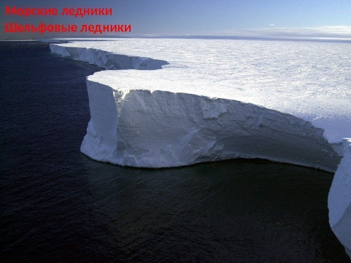 Морские ледники Шельфовые ледники 