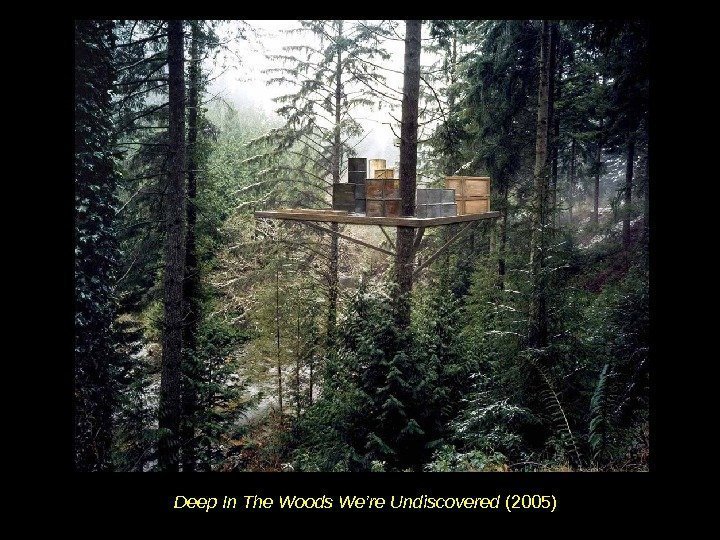 Deep In The Woods We’re Undiscovered (2005) 