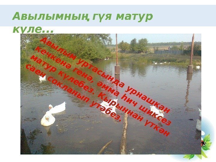 Авылымның гүя матур күле. . . 5 А вы л ы м уртасы нд