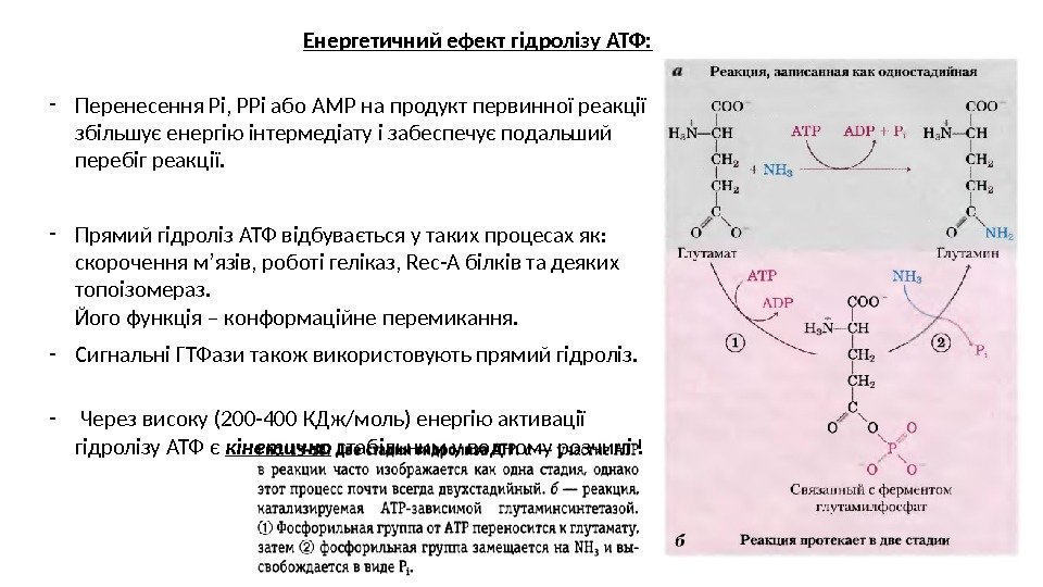 Енергетичний ефект гідролізу АТФ: - Перенесення Рі, РРі або АМР на продукт первинної реакції