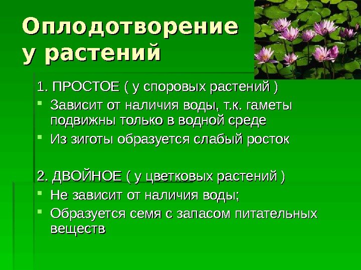 Оплодотворение у растений 1. ПРОСТОЕ ( у споровых растений ) Зависит от наличия воды,