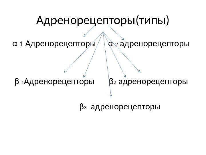 Адренорецепторы(типы) α 1 Адренорецепторы α 2 адренорецепторы  β 1 Адренорецепторы  β 2