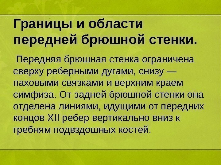 Границы и области передней брюшной стенки.  Передняя брюшная стенка ограничена сверху реберными дугами,