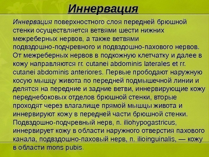 Иннервация поверхностного слоя передней брюшной стенки осуществляется ветвями шести нижних межреберных нервов, а также