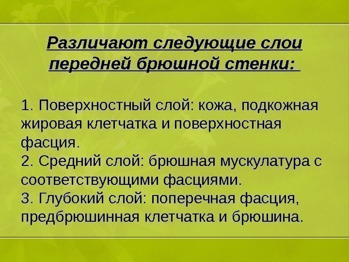 Различают следующие слои передней брюшной стенки:  1. Поверхностный слой: кожа, подкожная жировая клетчатка