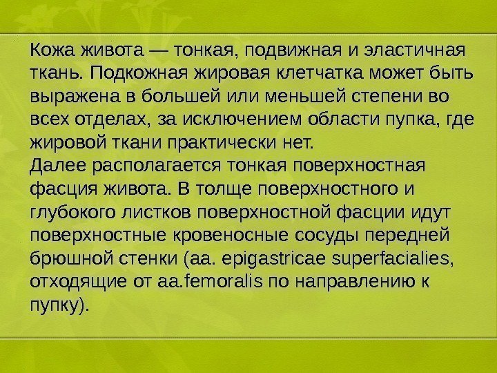 Кожа живота — тонкая, подвижная и эластичная ткань. Подкожная жировая клетчатка может быть выражена