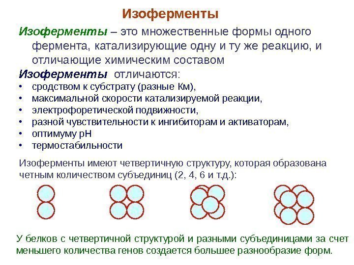 Изоферменты – это множественные формы одного фермента, катализирующие одну и ту же реакцию, и