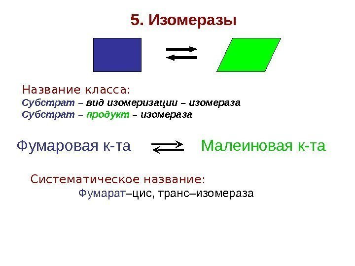 5. Изомеразы Название класса:  Субстрат –  вид изомеризации  –  изомераза