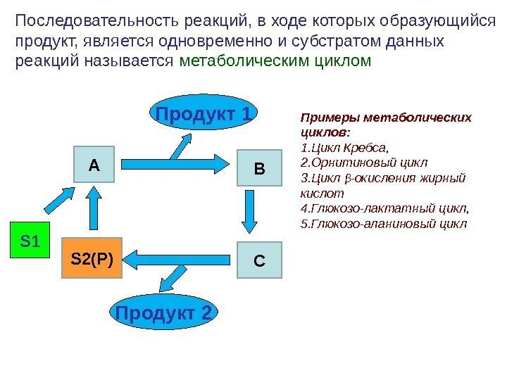 S 1 Последовательность реакций, в ходе которых образующийся продукт, является одновременно и субстратом данных