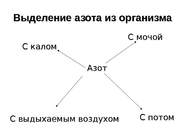   Выделение азота из организма  Азот  CC мочой C C калом