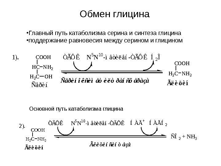   COOH HC H 2 COH NH 2 Ñåðèí ÒÃÔÊ  N 5