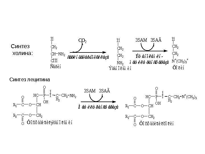   Синтез  холина: Ýòàíîëàìèí- ìåòèëòðàíñôåðàçà ÑåðèíÝòàíîëàìèíÕîëèí NH 2 CH CÎÎÍ CH 2
