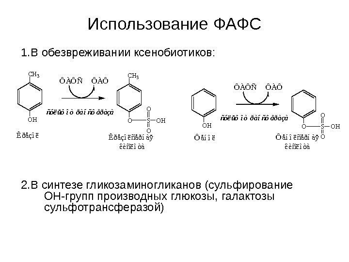   Использование ФАФС 1. В обезвреживании ксенобиотиков: 2. В синтезе гликозаминогликанов (сульфирование ОН-групп
