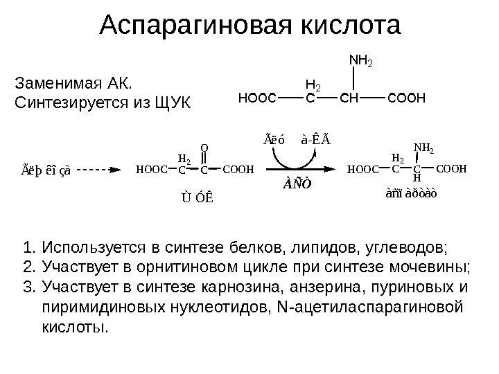   Аспарагиновая кислота Заменимая АК. Синтезируется из ЩУКHOOC H 2 CC H COOH