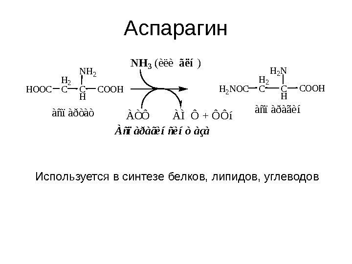   Аспарагин H 2 C C H C O O HN H 2