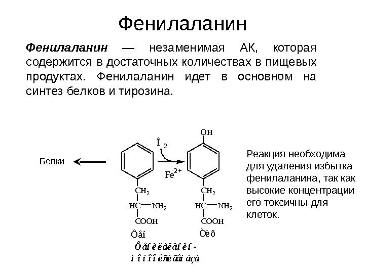   Фенилаланин. CH 2 Ôåí HC COOH NH 2 OH CH 2 Òèð