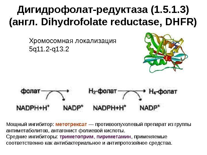   Дигидрофолат-редуктаза (1. 5. 1. 3) (англ. Dihydrofolate reductase, DHFR) Мощный ингибитор: 
