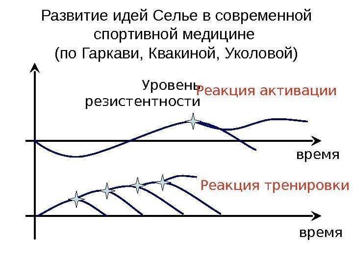 Развитие идей Селье в современной спортивной медицине (по Гаркави, Квакиной, Уколовой) время. Уровень резистентности