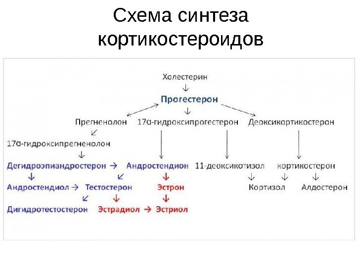 Схема синтеза кортикостероидов 