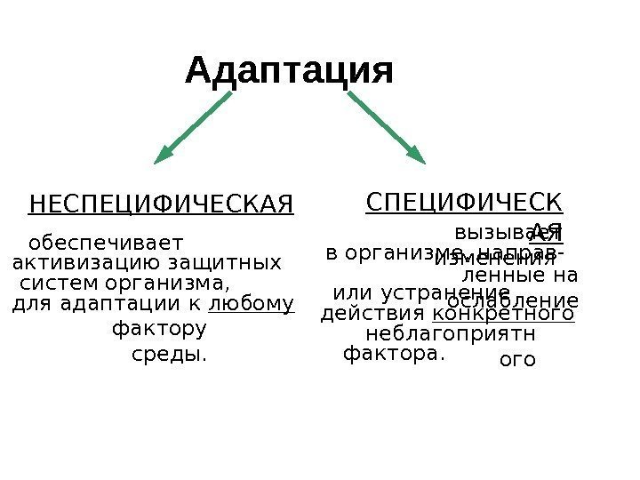 Адаптация СПЕЦИФИЧЕСК АЯНЕСПЕЦИФИЧЕСКАЯ вызывает изменения в организме, направ- ленные на ослаблениеили устранение действия конкретного