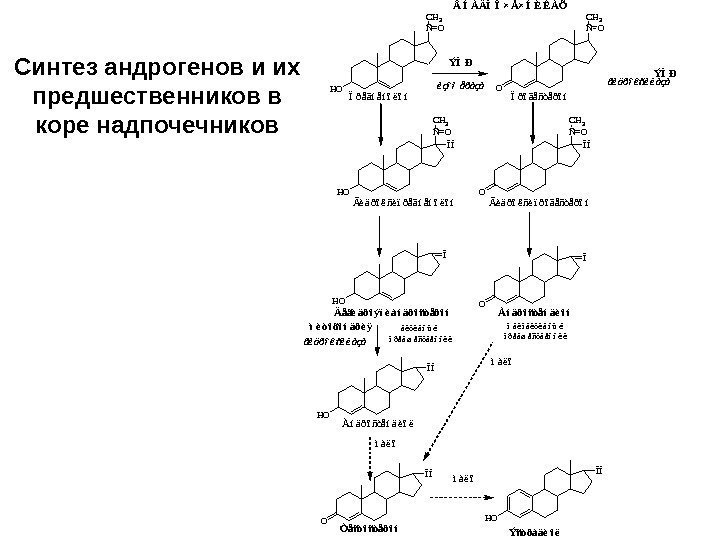 Синтез андрогенов и их предшественников в коре надпочечников. HO ÑO CH 3 ÏðåãíåíîëîíO ÑO
