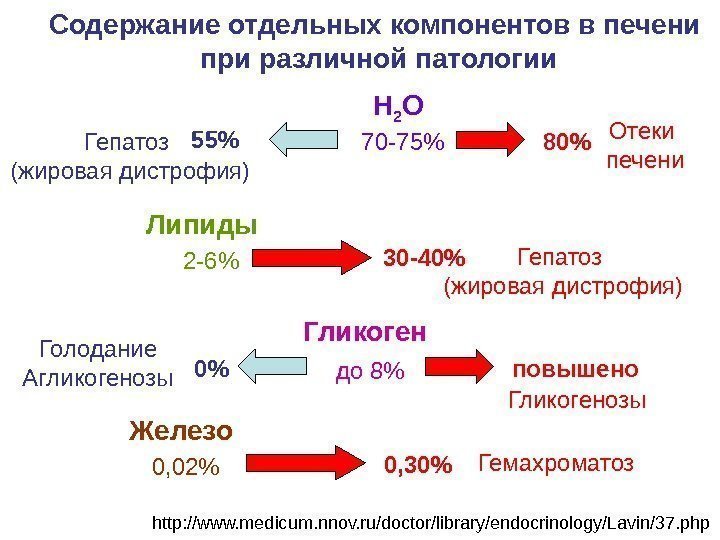 Содержание отдельных компонентов в печени при различной патологии Н 2 О 70 -75 80