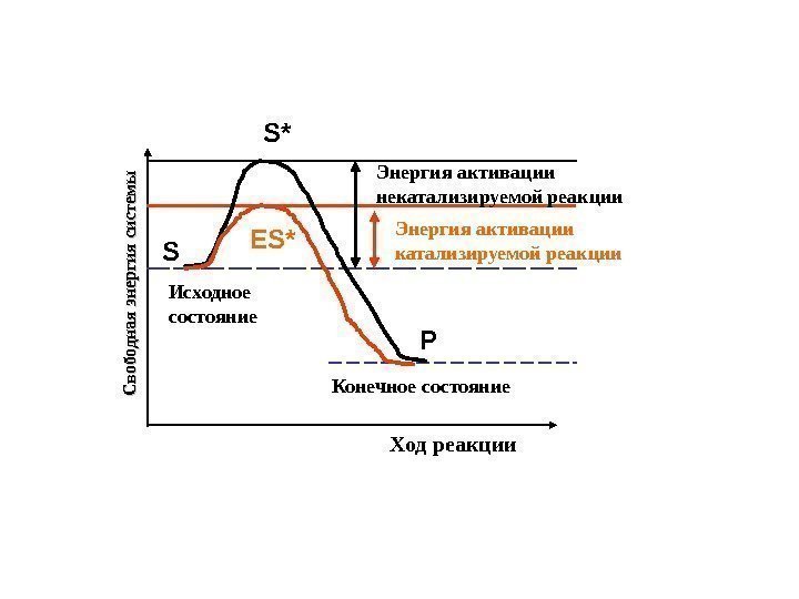 С вободная энергия систем ы. Ход реакции Исходное состояние Конечное состояние Энергия активации катализируемой