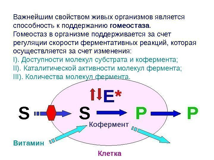 Важнейшим свойством живых организмов является способность к поддержанию гомеостаза.  Гомеостаз в организме поддерживается