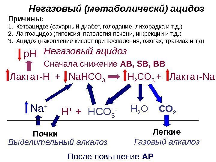   Негазовый (метаболическй) ацидоз  Причины: Н 2 О СО 2 Н 2