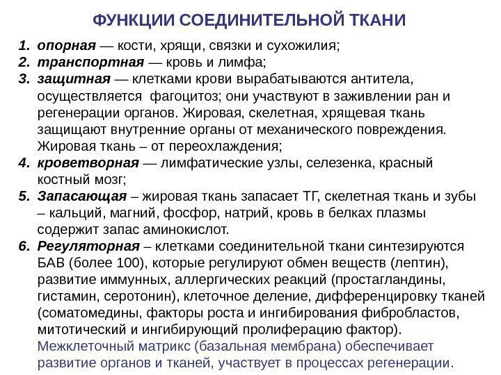 ФУНКЦИИ СОЕДИНИТЕЛЬНОЙ ТКАНИ 1. опорная — кости, хрящи, связки и сухожилия; 2. транспортная —