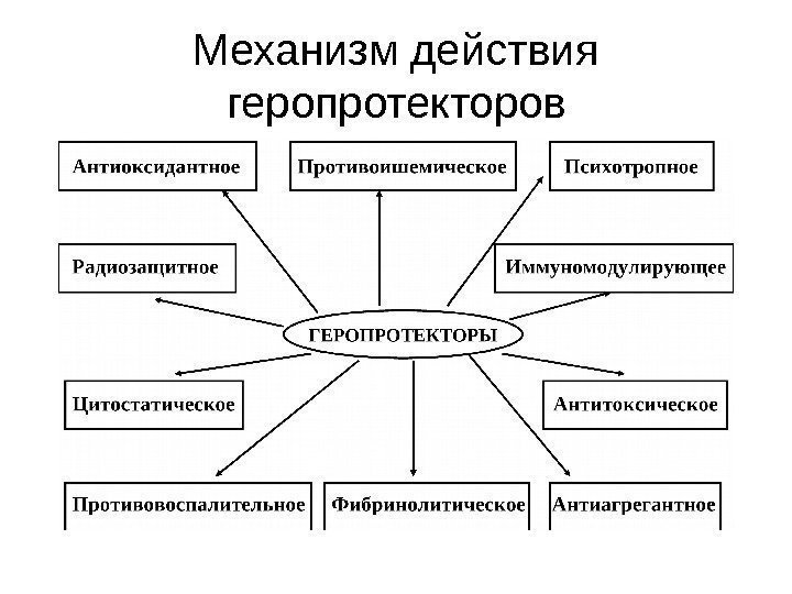   Механизм действия геропротекторов 