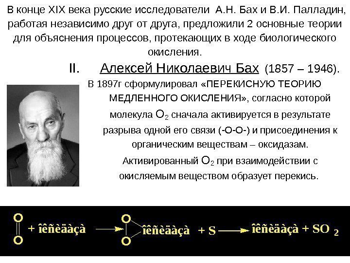  В конце XIX века русские исследователи А. Н. Бах и В. И. Палладин,