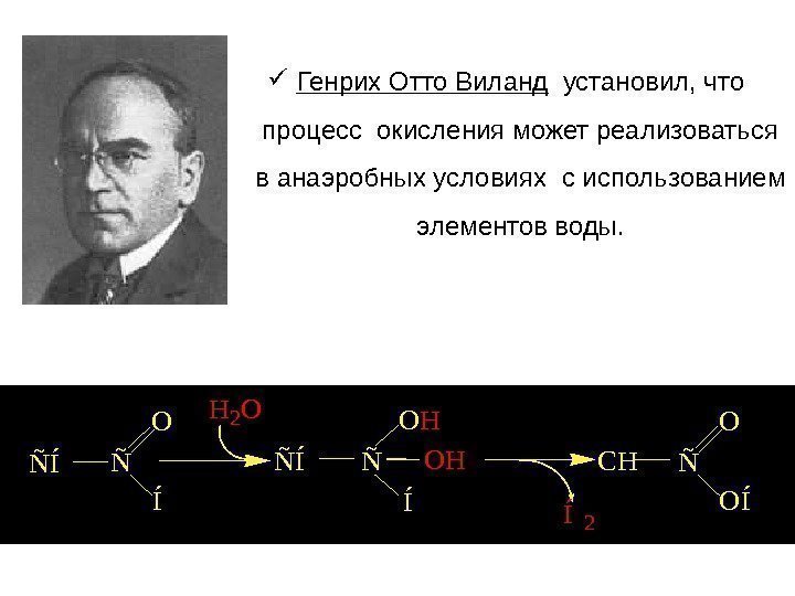   Генрих Отто Виланд установил,  что процесс окисления может реализоваться в анаэробных