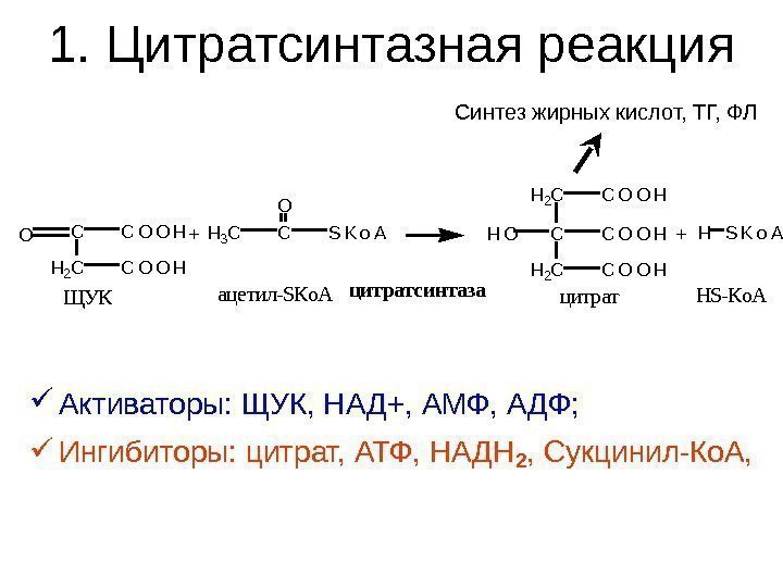   1. Цитратсинтазная реакция Активаторы: ЩУК, НАД+, АМФ, АДФ;  Ингибиторы: цитрат, АТФ,