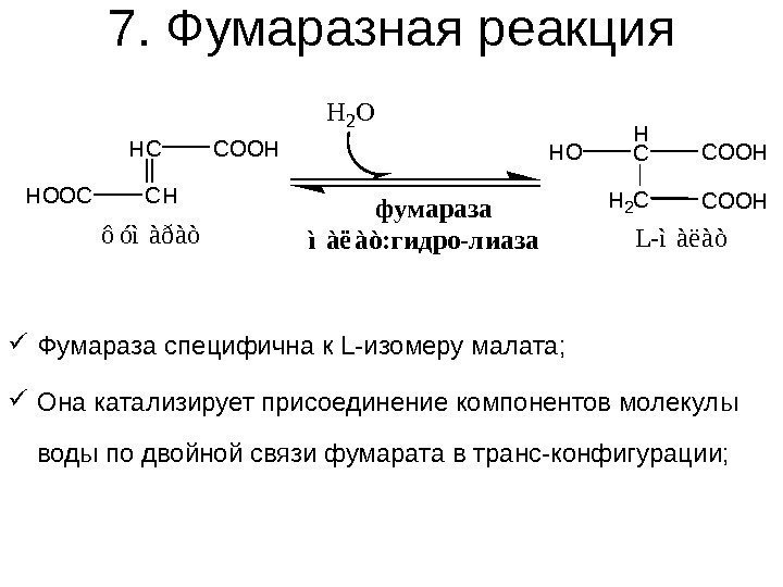   7. Фумаразная реакция Фумараза специфична к L-изомеру малата;  Она катализирует присоединение