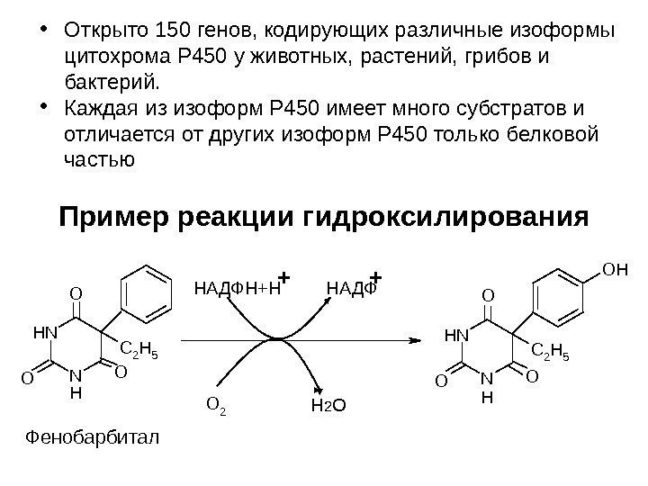   Пример реакции гидроксилирования Фенобарбитал. NH N C 2 H 5 HH O