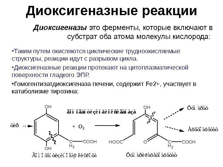   Диоксигеназные реакции Диоксигеназы это ферменты, которые включают в субстрат оба атома молекулы