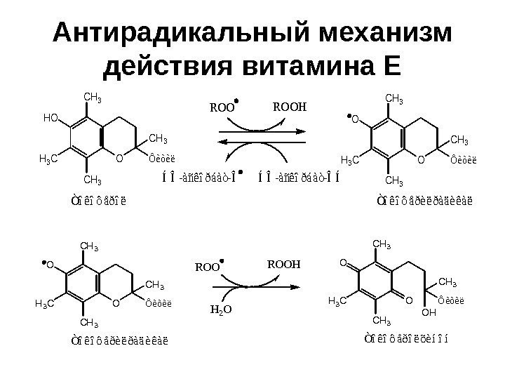   Антирадикальный механизм действия витамина ЕO CH 3 Ôèòèë HO H 3 C