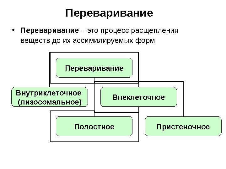 Переваривание • Переваривание – это процесс расщепления  веществ до их ассимилируемых форм Переваривание