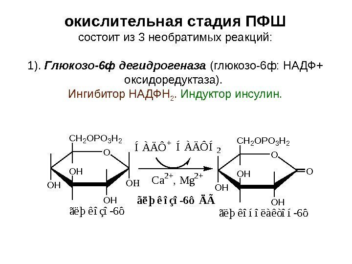 окислительная стадия ПФШ состоит из 3 необратимых реакций: 1).  Глюкозо-6 ф дегидрогеназа (глюкозо-6
