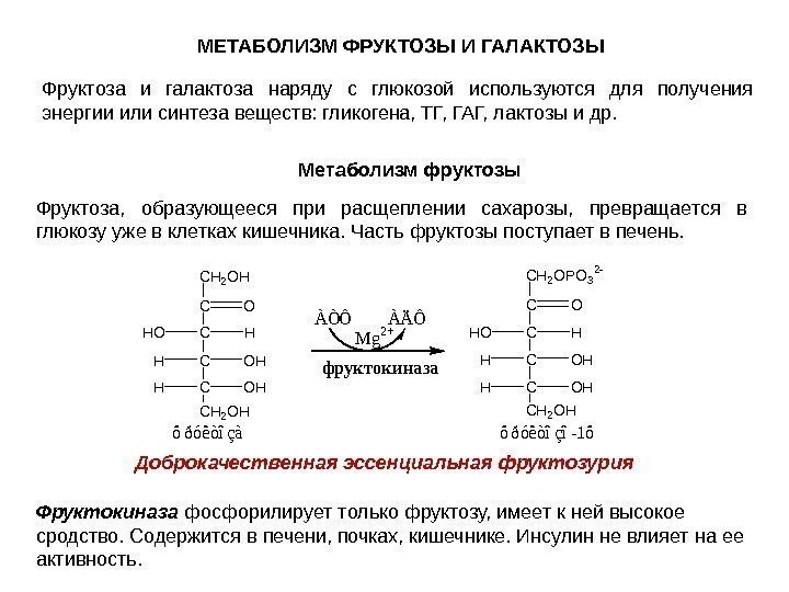 МЕТАБОЛИЗМ ФРУКТОЗЫ И ГАЛАКТОЗЫ  Фрук тоза и галактоза наряду с глюкозой используются для