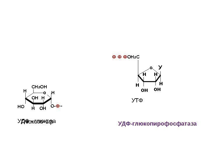 УДФ-глюкопирофосфатаза. Ф Ф о. СН 2 ОН Н НО ОН Н ОН О- ФН