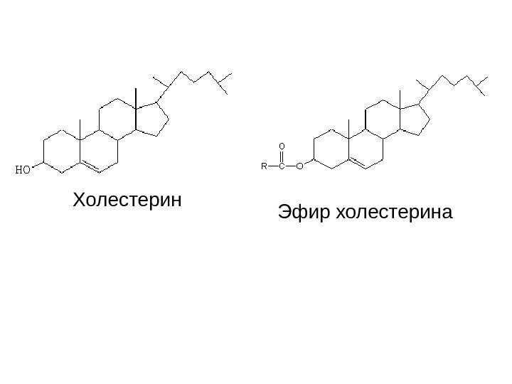 Холестерин Эфир холестерина 