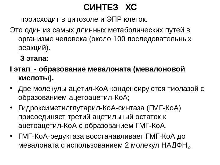 СИНТЕЗ  ХС  происходит в цитозоле и ЭПР клеток.  Это один из